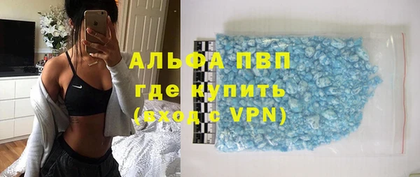 крисы Ельня