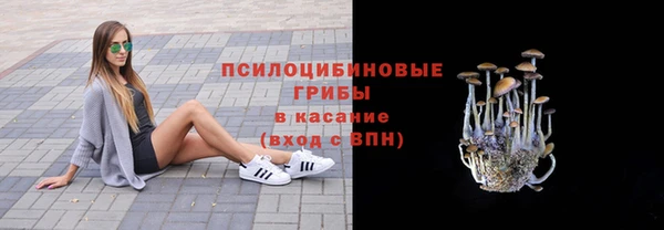 PSILOCYBIN Абинск