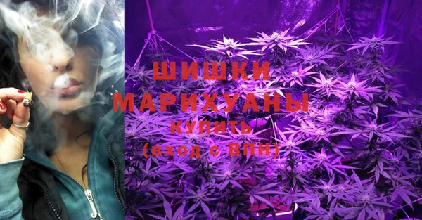 PSILOCYBIN Абинск