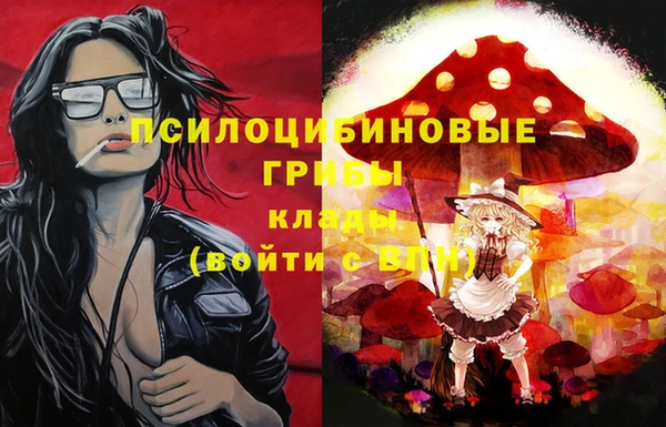 PSILOCYBIN Абинск